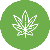 hemp-service-icon